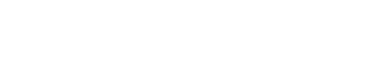 bizcap logo domain redirect 